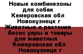 Новые комбинезоны для собак - Кемеровская обл., Новокузнецк г. Животные и растения » Аксесcуары и товары для животных   . Кемеровская обл.,Новокузнецк г.